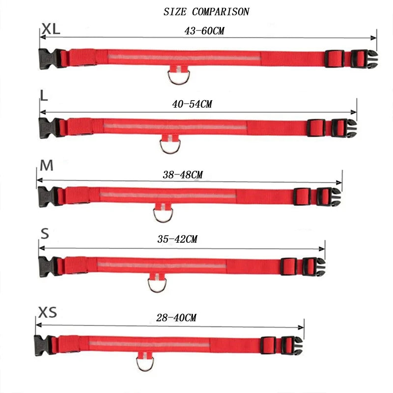 USB Rechargeable LED Dog Collar