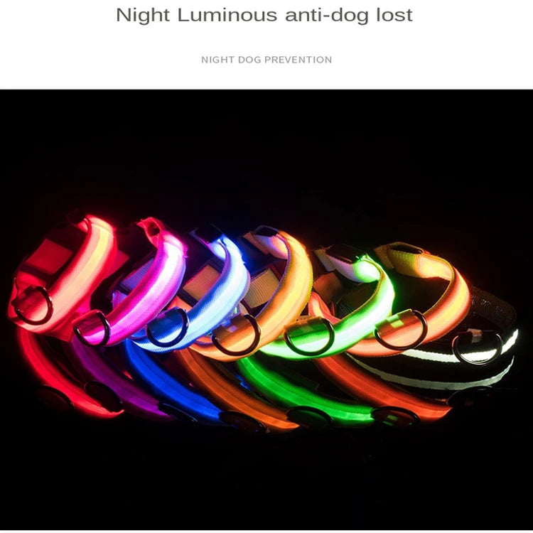 USB Rechargeable LED Dog Collar