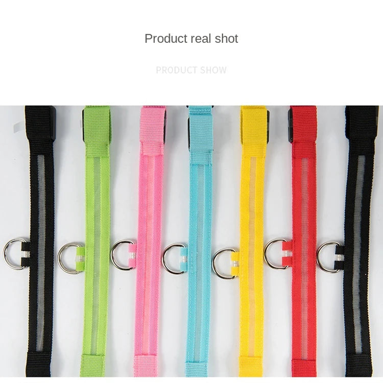 USB Rechargeable LED Dog Collar