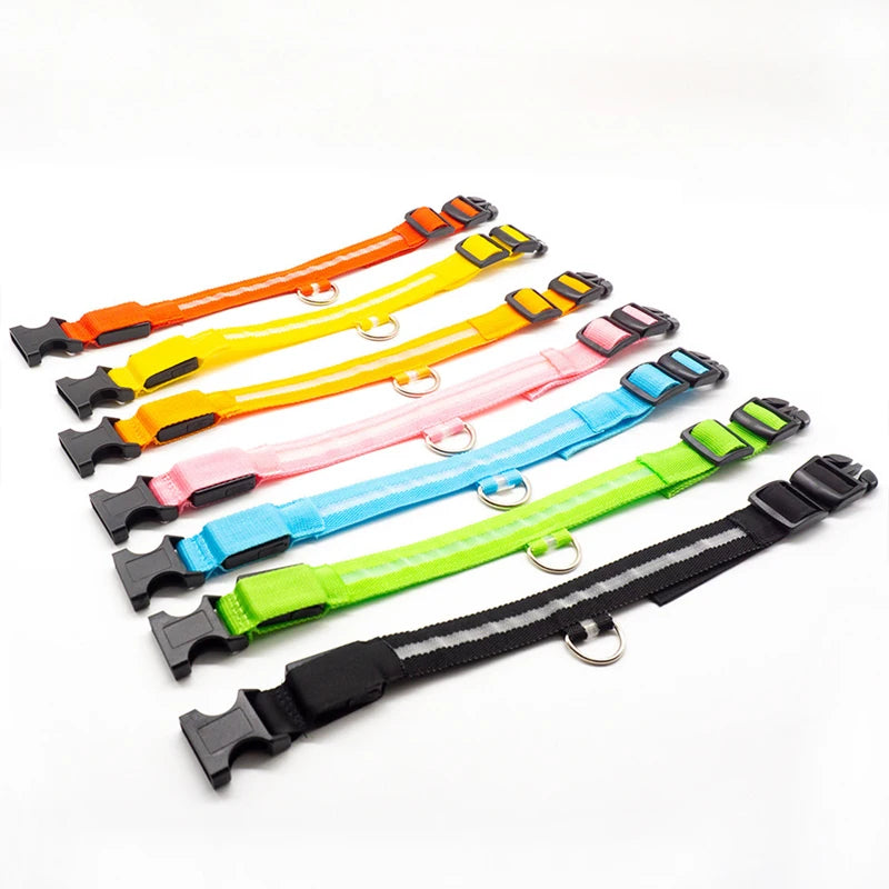 USB Rechargeable LED Dog Collar