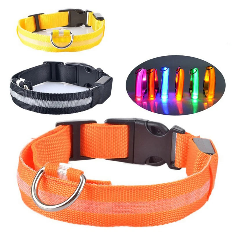 USB- Rechargeable- LED- Dog- Collar .jpg