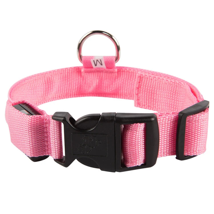 USB Rechargeable LED Dog Collar