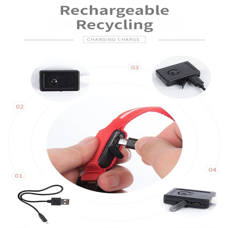 USB Rechargeable LED Dog Collar