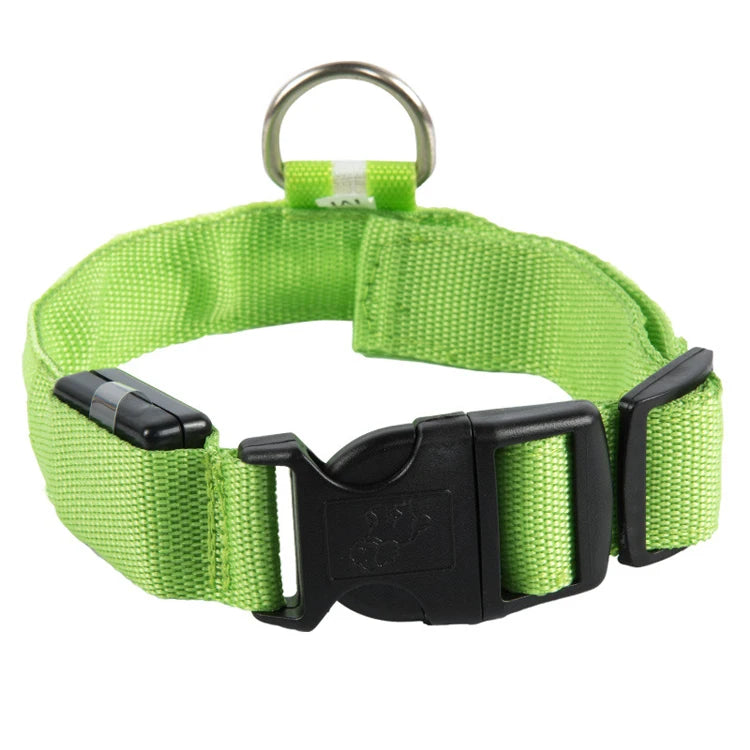 USB Rechargeable LED Dog Collar