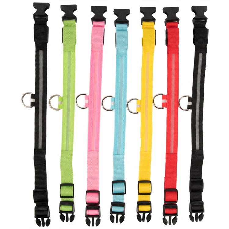 USB Rechargeable LED Dog Collar