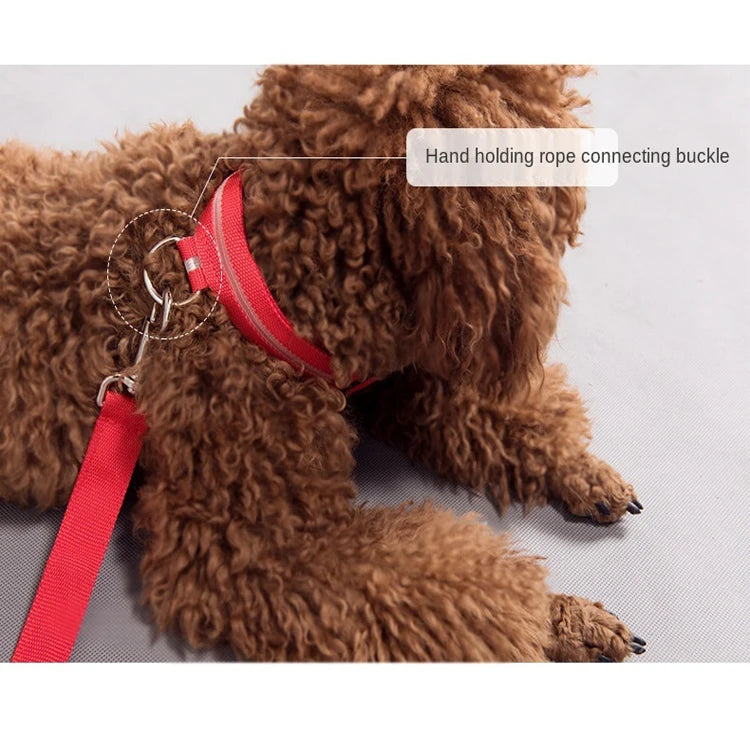 USB Rechargeable LED Dog Collar