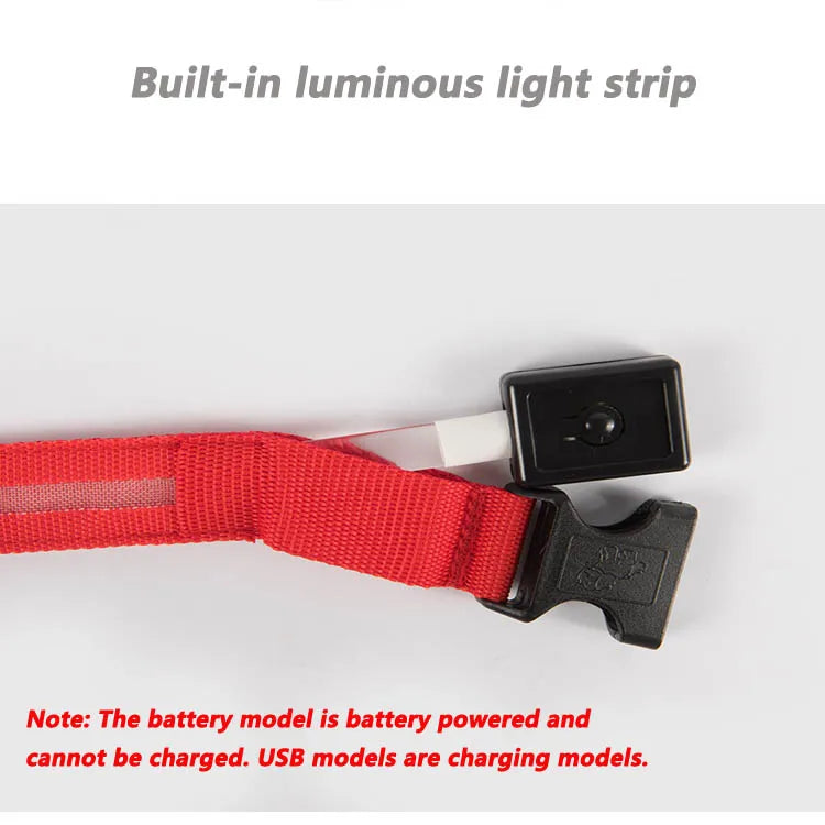 USB Rechargeable LED Dog Collar
