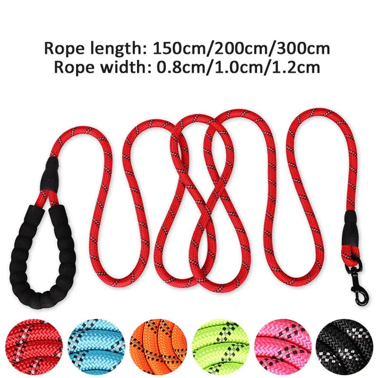 Multicolor Durable Night Dog Leash Rope