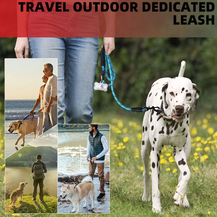 Multicolor Durable Night Dog Leash Rope