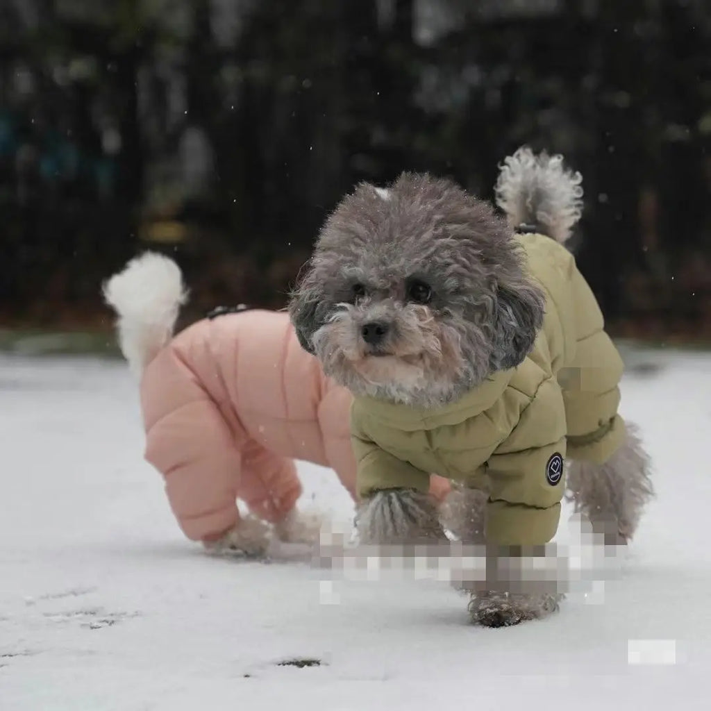 Korean Teddy Poodle Warm Down Jacket for Dogs