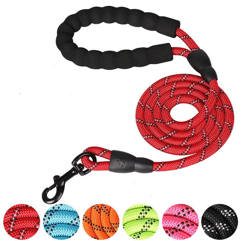 Multicolor- Durable -Night -Dog-Leash Rope.jpg