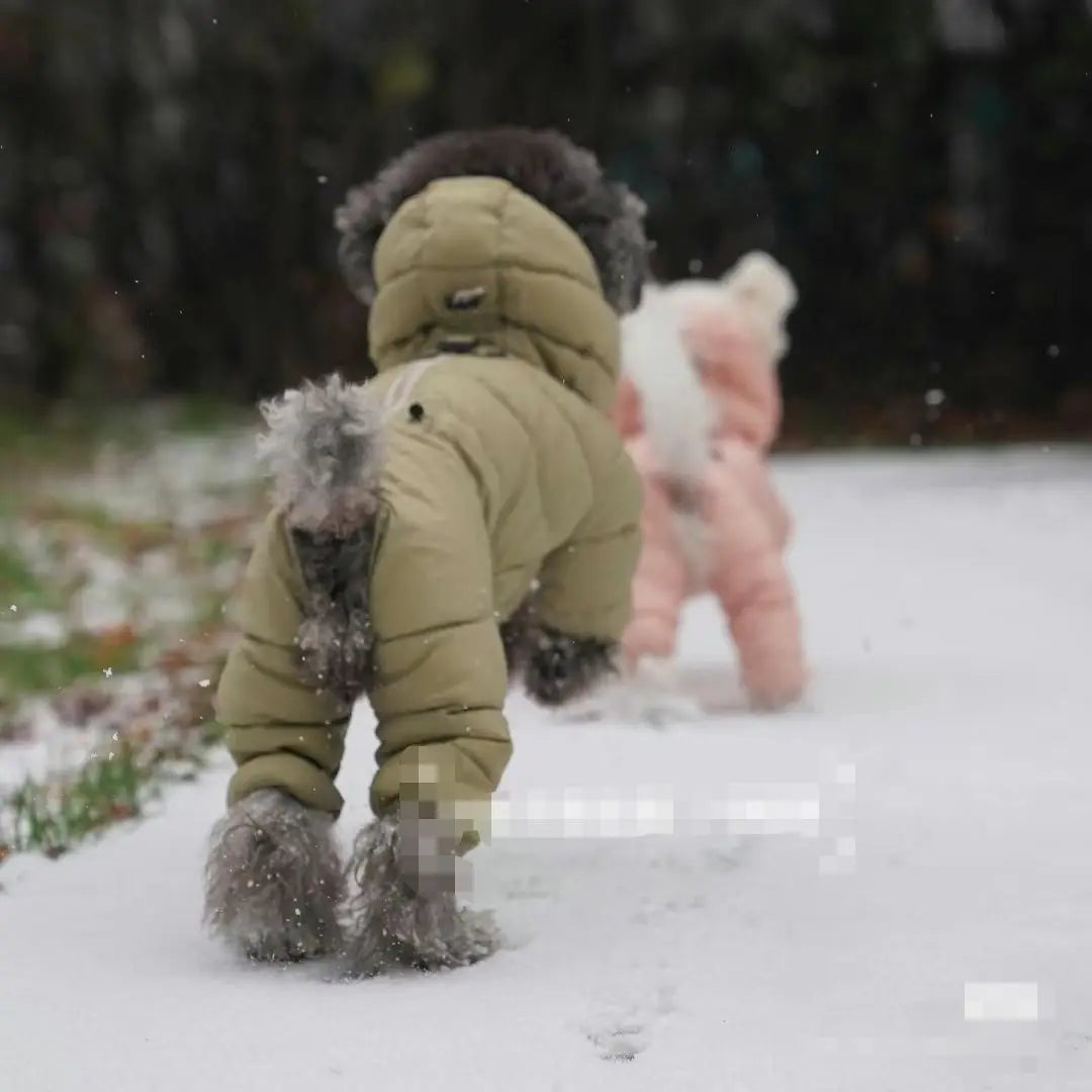 Korean Teddy Poodle Warm Down Jacket for Dogs