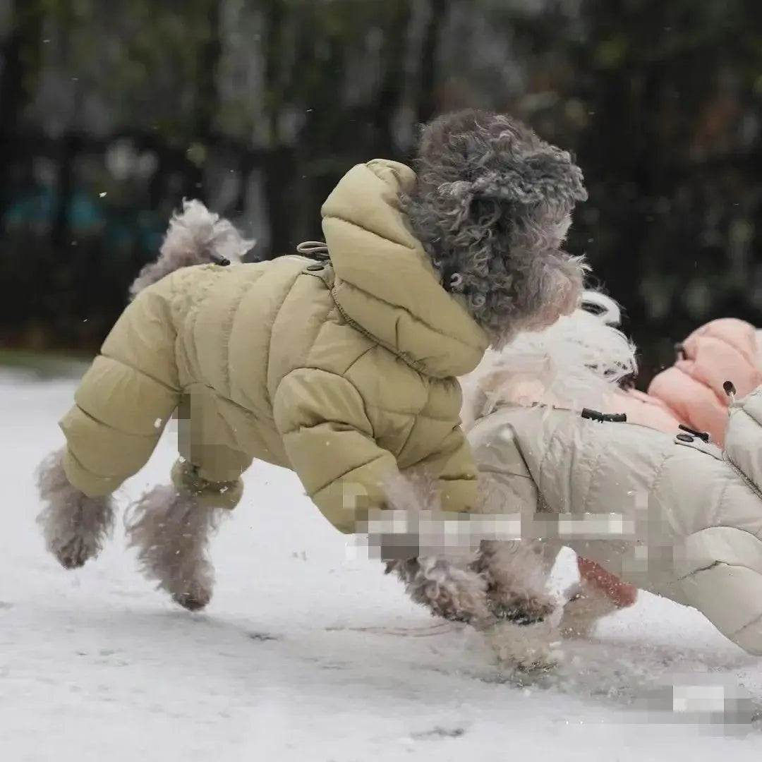 Korean Teddy Poodle Small Dog Pet Dog Winter Clothes Four Legged Coat Thick Down Cotton Jacket for Warmth and Cold Protection